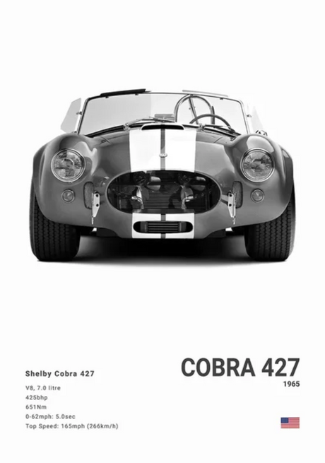 1965 Shelby Cobra 427 car poster | Wall Art for your interior decoration Euro Premium Parts Light 12" by 18"