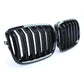 Black Front Grill M-look for BMW X6 E71 (2006 to 2014)