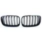 Black Front Grill M-look for BMW X6 E71 (2006 to 2014)