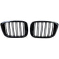 BMW X4 G02 black front grilles set (2018 to 2022)