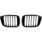 BMW X4 G02 black front grilles set (2018 to 2022)