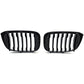 BMW X4 G02 black front grilles set (2018 to 2022)