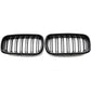 BMW X6 F16 Black Front Kidney Grill (2014 to 2018)