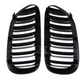 Black Front Grilles for BMW 6 Series E63 E64 (2003 to 2010)