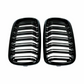 BMW X6 F16 Black Front Kidney Grill (2014 to 2018)